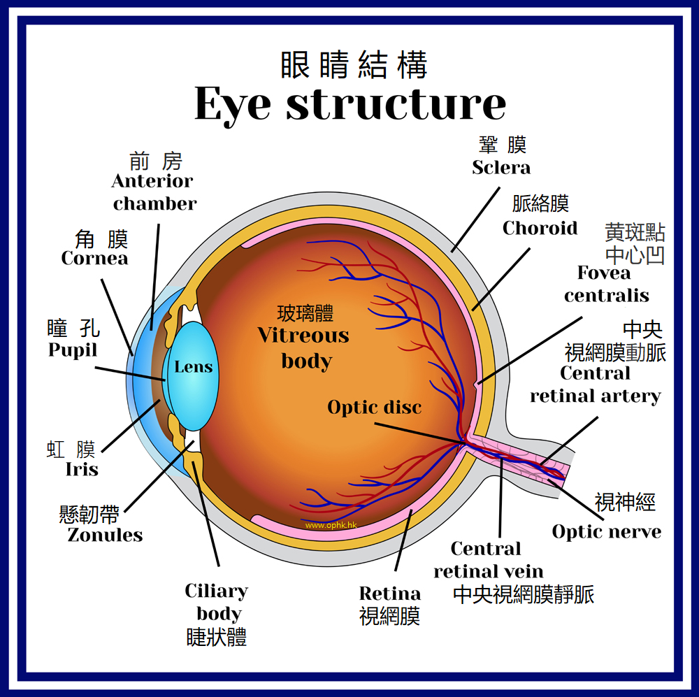 综合眼科视光检查